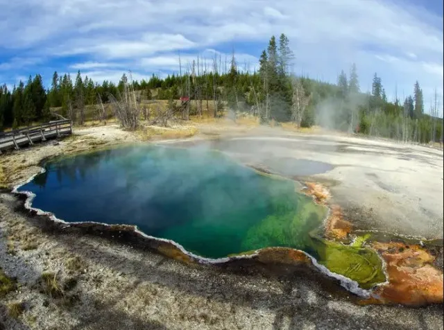 Five visitors miraculously survived after driving into Yellowstone Park ...