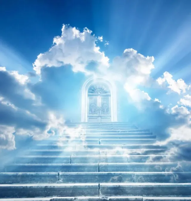 woman reveals what ‘the afterlife is really like’ after near-death experien 429