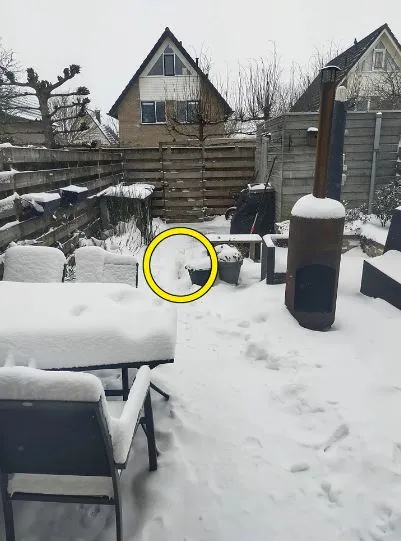 can you spot the hidden objects and animals? 618