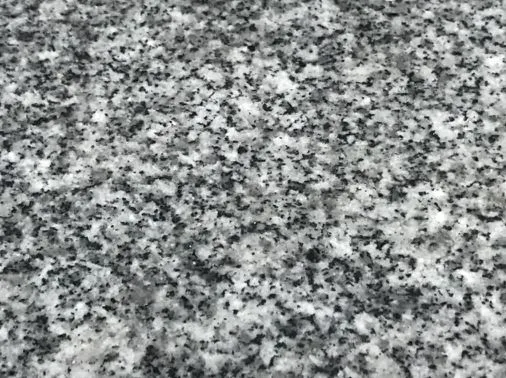 can you spot the hidden objects and animals? 615