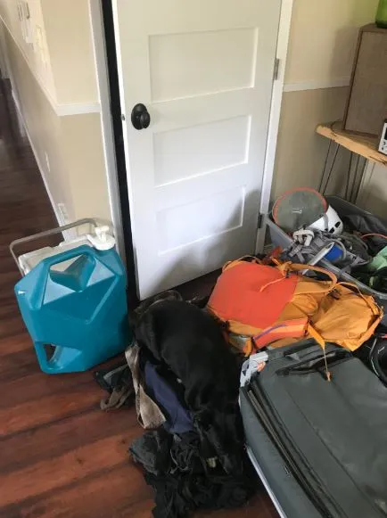 can you spot the hidden objects and animals? 624