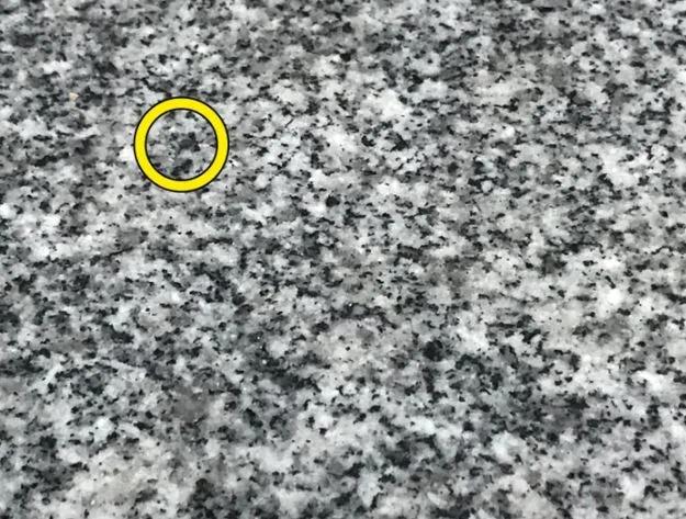 can you spot the hidden objects and animals? 620