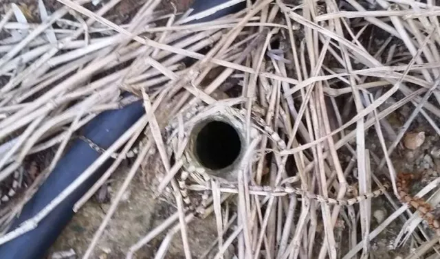 man stuns by discovering truth behind a mysterious small hole in hids back 629