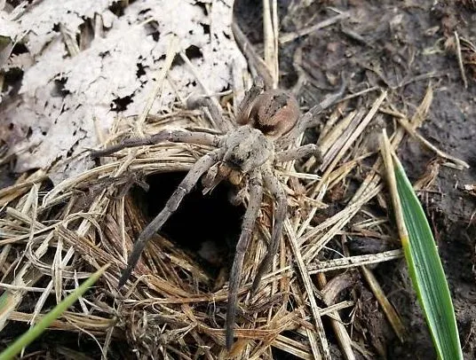 man stuns by discovering truth behind a mysterious small hole in hids back 627