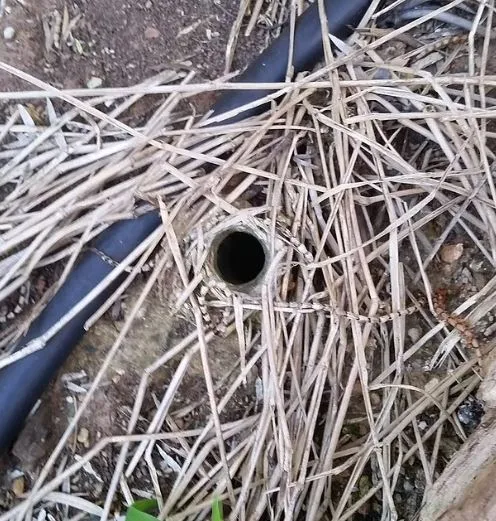 man stuns by discovering truth behind a mysterious small hole in hids back 630