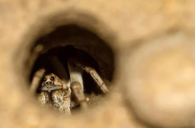 man stuns by discovering truth behind a mysterious small hole in hids back 631