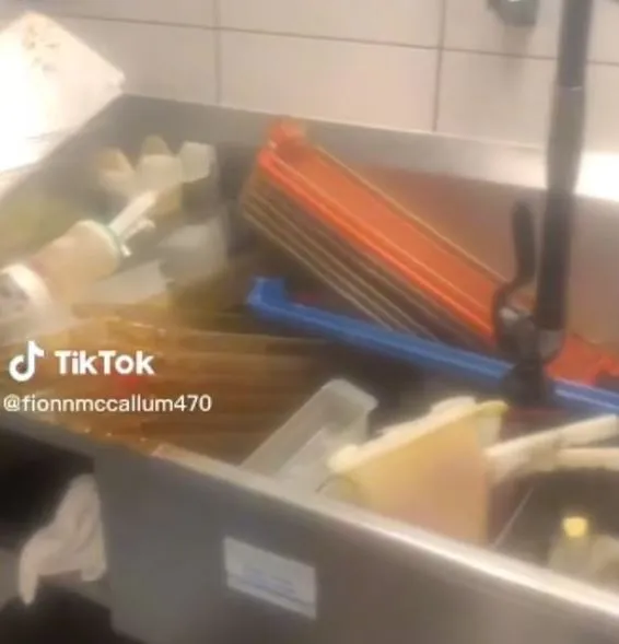 mcdonalds worker quits mid-shift after being asked to clean greasy cooking 641