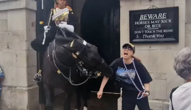 tourist bitten by kings guard horse as she takes photos next to it 824
