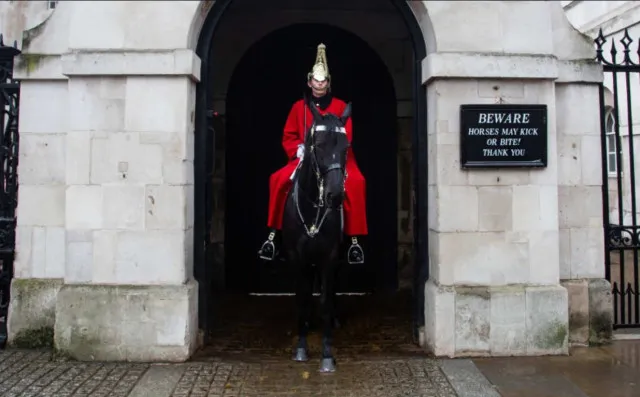 Tourist bitten by King's Guard horse as she takes photos next to it