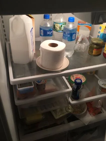 people are just realizing why we put toilet paper in the fridge 1203