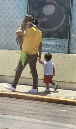 viral video of father carrying dog instead of child sparks debate 2365