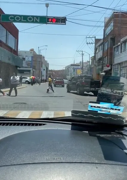 viral video of father carrying dog instead of child sparks debate 2366