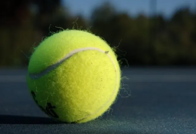 reason why you should put a tennis ball in your carry-on luggage during fli 2491