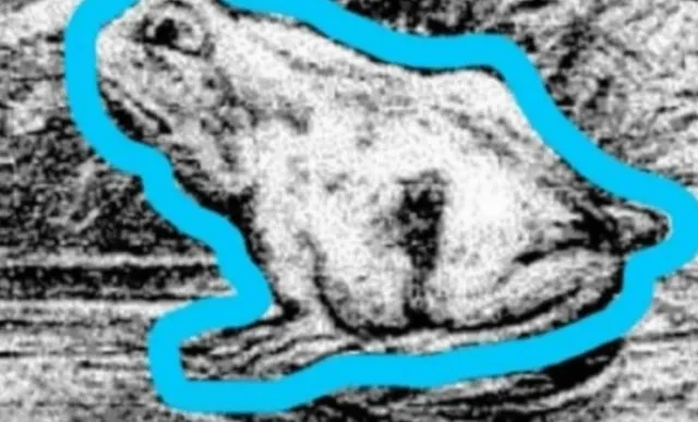 only people with sharp eyes can see the horse in this picture 3372