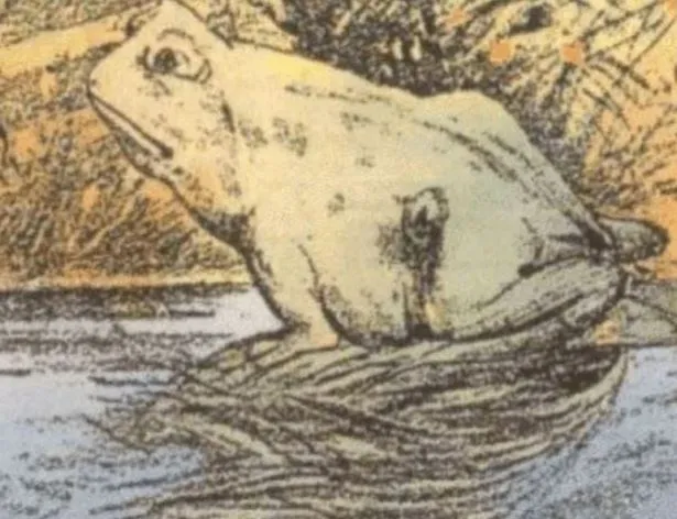 only people with sharp eyes can see the horse in this picture 3374