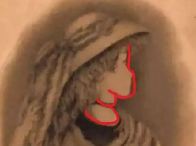 you have eagle eyes if you can spot the hidden face in baffling optical ill 3335