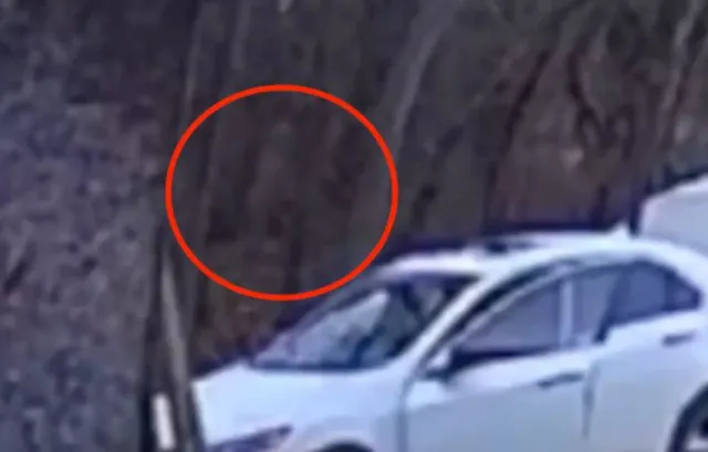eerie security camera footage captures mysterious apparition 3780
