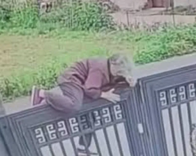 92-year-old woman escapes nursing home by climbing 2-meter gate 3842