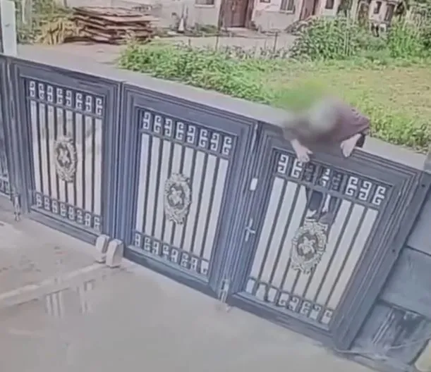 92-year-old woman escapes nursing home by climbing 2-meter gate 3840