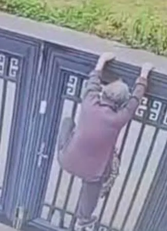92-year-old woman escapes nursing home by climbing 2-meter gate 3843