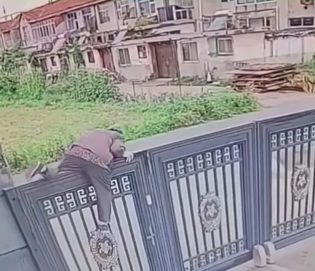 92-year-old woman escapes nursing home by climbing 2-meter gate 3841