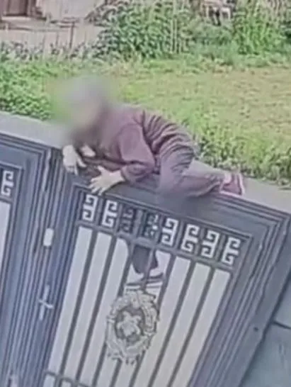 92-year-old woman escapes nursing home by climbing 2-meter gate 3839
