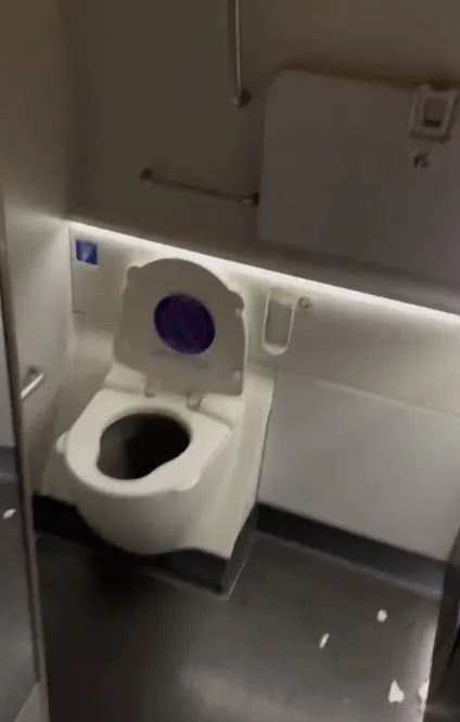 plus-sized passenger struggles with airplane bathroom due to narrow aisles 4202