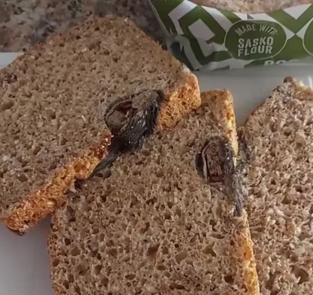 woman frightened after spotting a sliced rat in her loaf of bread 4570