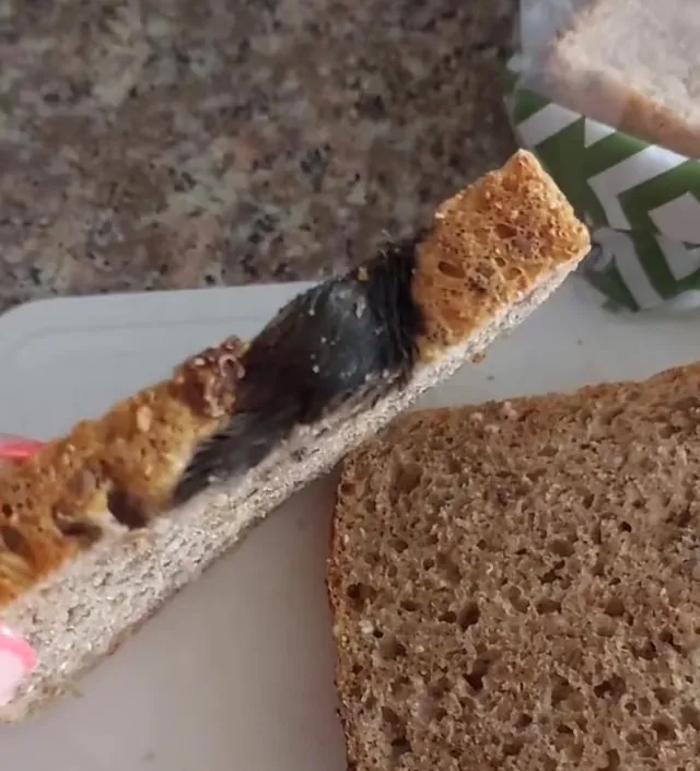 woman frightened after spotting a sliced rat in her loaf of bread 4569