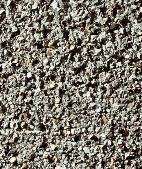 you have eagle eyes if you can spot the hidden moth in this baffling optica 4685