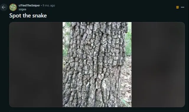 you have a sniper if you spot dangerous animal hiding in this picture 5394