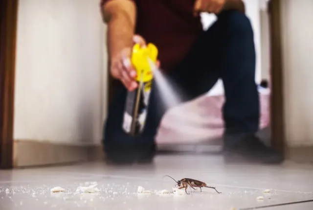 man sets his apartment on fire after trying to get rid of cockroach with in 6077
