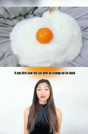 optical illusion reveals whether youre logical person or dynamic personali 6511