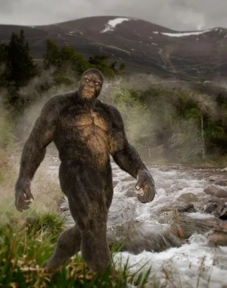 man claims to have found bigfoot tracks measuring 17 inches long and one fo 6574