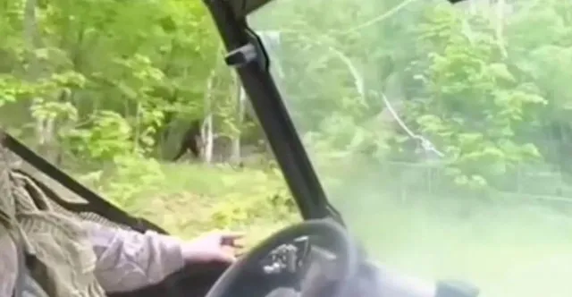 man claims to have found bigfoot tracks measuring 17 inches long and one fo 6575