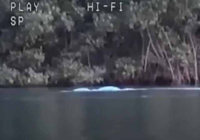 new loch ness monster sighting sparks debate 6598