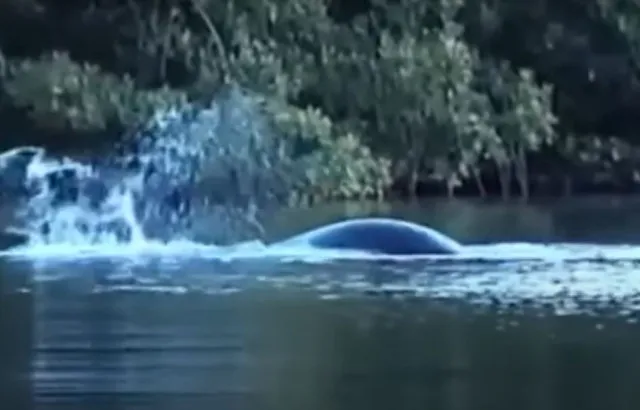 new loch ness monster sighting sparks debate 6595
