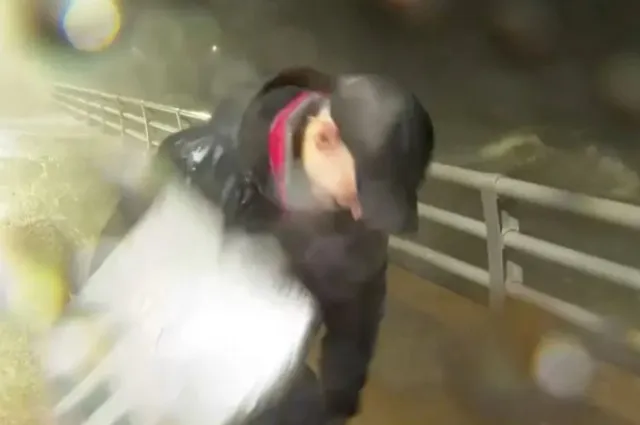 cnn host hit by flying debris during live hurricane milton coverage 6954