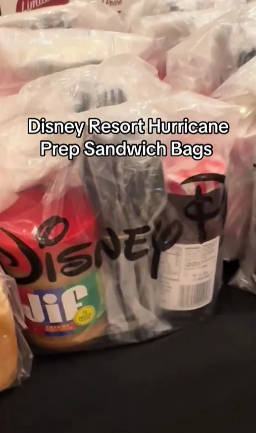 disney criticized for charging $10 for pb&j sandwich kits during hurricane 7009