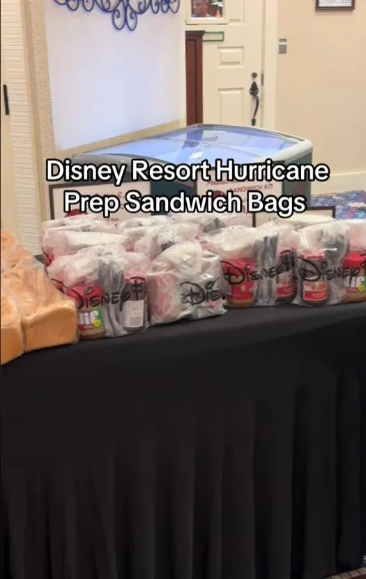 disney criticized for charging $10 for pb&j sandwich kits during hurricane 7010