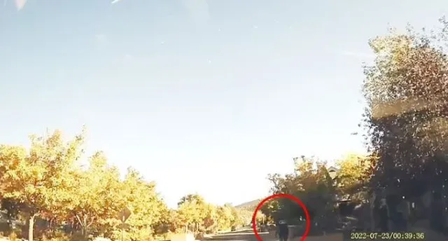 man in lycra stunned after yelling at young driver 7107