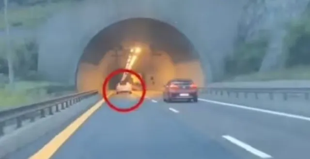 man who claimed encounter with ufo reveals a piece of the craft to prove it 7401