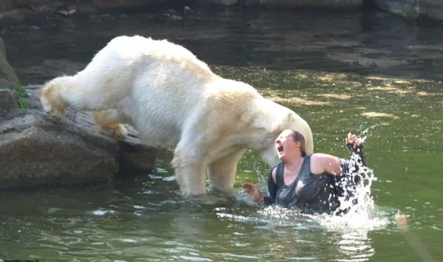 woman attacked by bear after climbing into zoo enclosure 7342