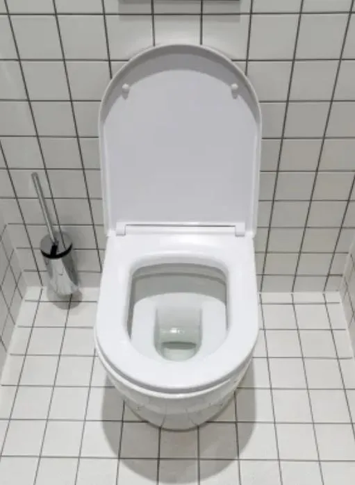 why do some bathrooms have open front toilet seats? the mystery solved 7449