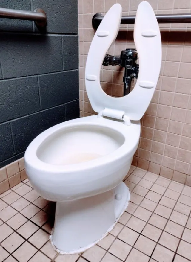 why do some bathrooms have open front toilet seats? the mystery solved 7450
