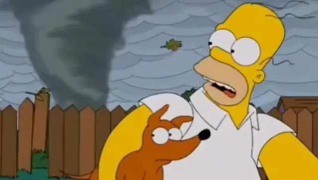 simpsons fans claim the show predicted floridas severe hurricane milton 7839