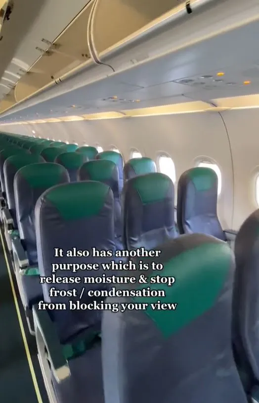 flight attendant explains why plane windows have tiny holes 8023