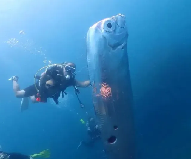 fishermen stunned after catching doomsday fish in rare deep-sea sighting 8173
