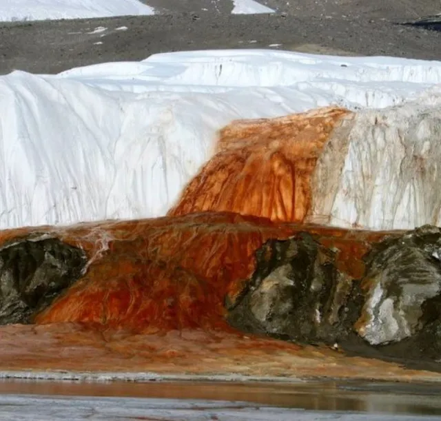 scientists finally solve the 100-year mystery of antarcticas blood falls 8480