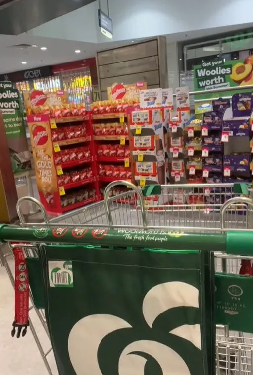 people are just discovering the function of secret trolley hook 8531